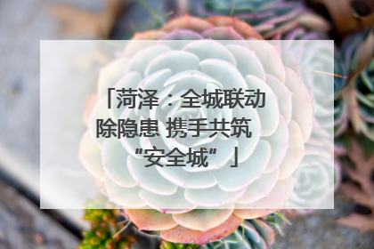 菏泽：全城联动除隐患 携手共筑“安全城”