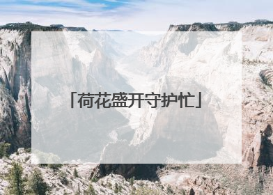 荷花盛开守护忙