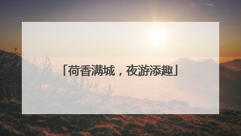 荷香满城，夜游添趣