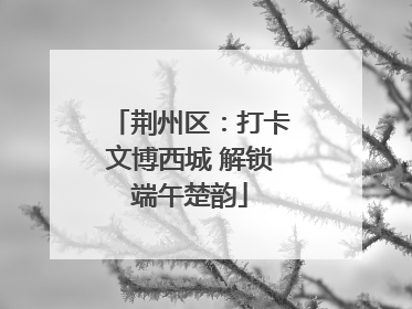 荆州区：打卡文博西城 解锁端午楚韵