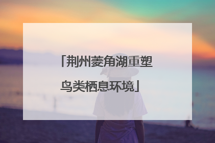 荆州菱角湖重塑鸟类栖息环境
