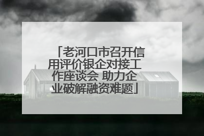 老河口市召开信用评价银企对接工作座谈会 助力企业破解融资难题