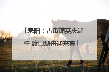 耒阳：古街铺宴庆端午 渡口划舟迎来宾