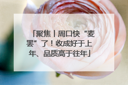 聚焦丨周口快“麦罢”了！收成好于上年、品质高于往年
