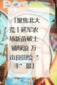 聚焦北大荒丨延军农场新苗破土铺绿浪 万亩良田绘“丰”景