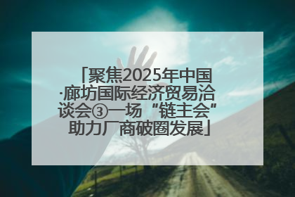 聚焦2025年中国·廊坊国际经济贸易洽谈会③一场“链主会” 助力厂商破圈发展