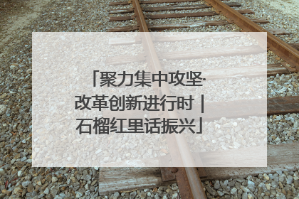 聚力集中攻坚·改革创新进行时｜石榴红里话振兴