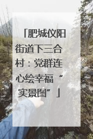 肥城仪阳街道下三合村：党群连心绘幸福“实景图”
