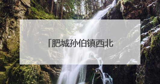 肥城孙伯镇西北角村：洋葱丰收圆百姓致富梦