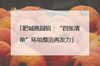 肥城桃园镇：“四张清单”环境整治再发力
