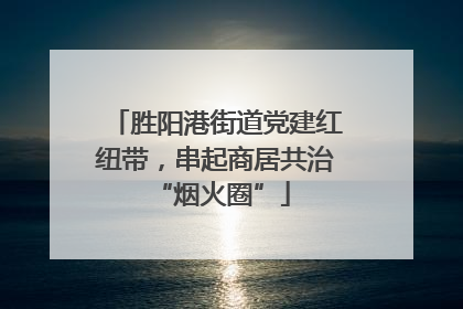 胜阳港街道党建红纽带，串起商居共治 “烟火圈”