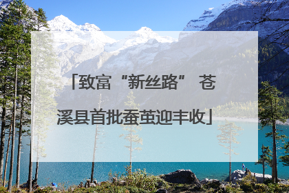 致富“新丝路” 苍溪县首批蚕茧迎丰收