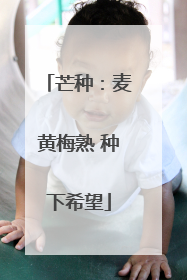 芒种：麦黄梅熟 种下希望