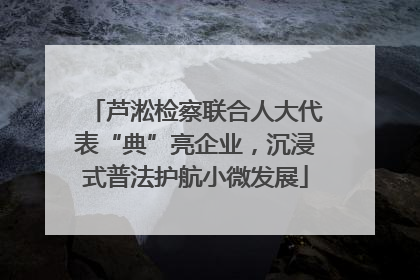 芦淞检察联合人大代表“典”亮企业，沉浸式普法护航小微发展