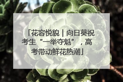 花容悦貌｜向日葵祝考生“一举夺魁”，高考带动鲜花热潮