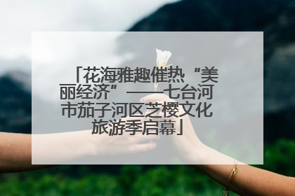 花海雅趣催热“美丽经济”——七台河市茄子河区芝樱文化旅游季启幕