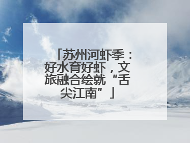 苏州河虾季：好水育好虾，文旅融合绘就“舌尖江南”