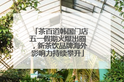 茶百道韩国门店五一假期火爆出圈，新茶饮品牌海外影响力持续攀升