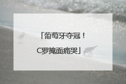 葡萄牙夺冠！C罗掩面痛哭