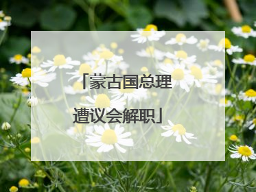 蒙古国总理遭议会解职