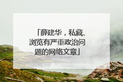 薛建华，私藏、浏览有严重政治问题的网络文章