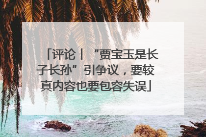 评论丨“贾宝玉是长子长孙”引争议，要较真内容也要包容失误
