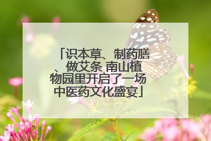 识本草、制药膳、做艾条 南山植物园里开启了一场中医药文化盛宴