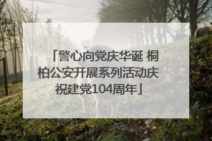 警心向党庆华诞 桐柏公安开展系列活动庆祝建党104周年
