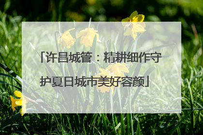 许昌城管：精耕细作守护夏日城市美好容颜