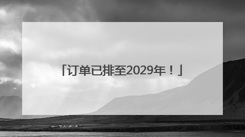 订单已排至2029年！