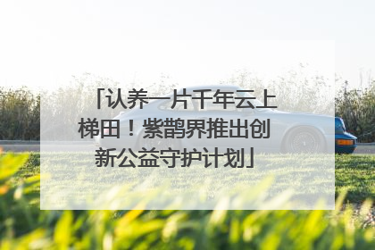 认养一片千年云上梯田！紫鹊界推出创新公益守护计划