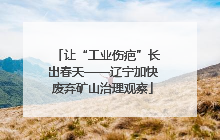 让“工业伤疤”长出春天——辽宁加快废弃矿山治理观察