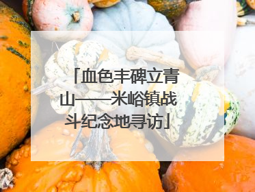 血色丰碑立青山——米峪镇战斗纪念地寻访