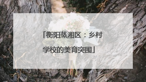 衡阳蒸湘区：乡村学校的美育突围