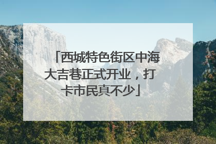 西城特色街区中海大吉巷正式开业，打卡市民真不少