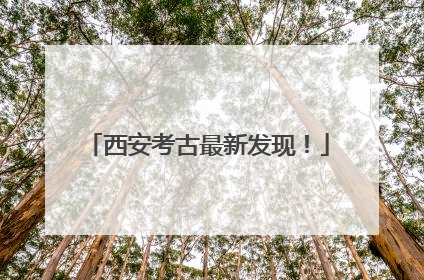 西安考古最新发现！