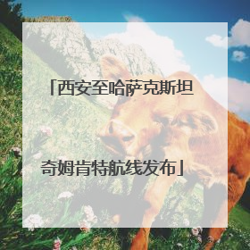 西安至哈萨克斯坦奇姆肯特航线发布