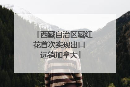 西藏自治区藏红花首次实现出口 远销加拿大
