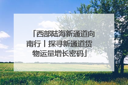 西部陆海新通道向南行丨探寻新通道货物运量增长密码