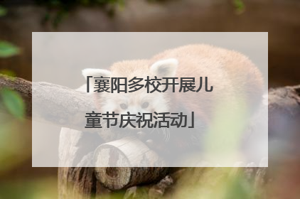 襄阳多校开展儿童节庆祝活动