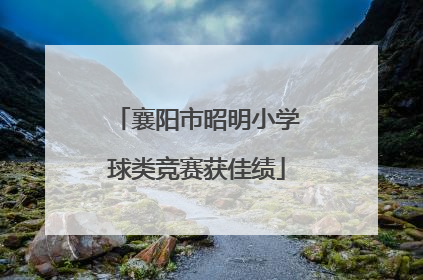 襄阳市昭明小学球类竞赛获佳绩