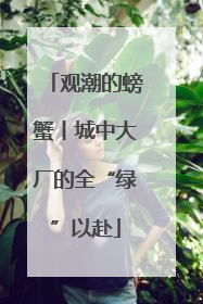 观潮的螃蟹丨城中大厂的全“绿”以赴