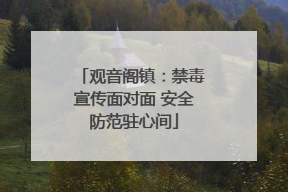 观音阁镇：禁毒宣传面对面 安全防范驻心间