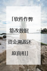软件作弊篡改数据 资金溯源还原真相