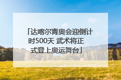 达喀尔青奥会迎倒计时500天 武术将正式登上奥运舞台