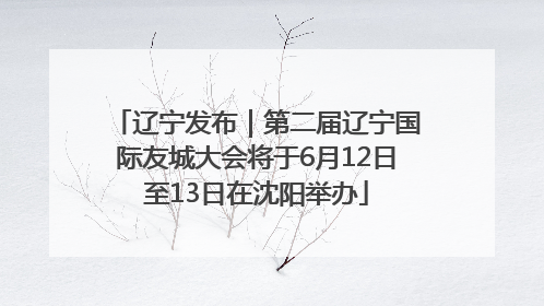 辽宁发布｜第二届辽宁国际友城大会将于6月12日至13日在沈阳举办