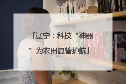 辽宁：科技“神器”为农田夏管护航