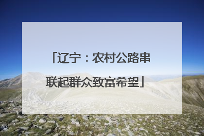 辽宁：农村公路串联起群众致富希望