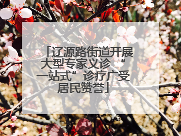 辽源路街道开展大型专家义诊 “一站式”诊疗广受居民赞誉