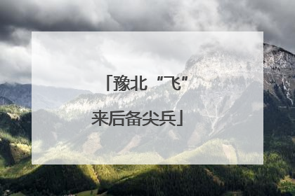 豫北“飞”来后备尖兵